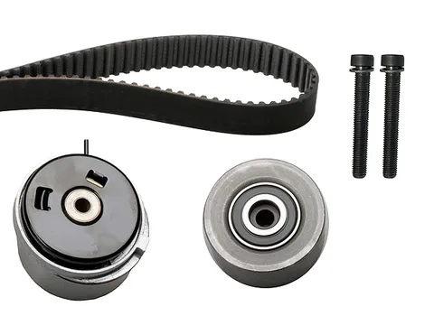 Kit de distribución 530045010 INA