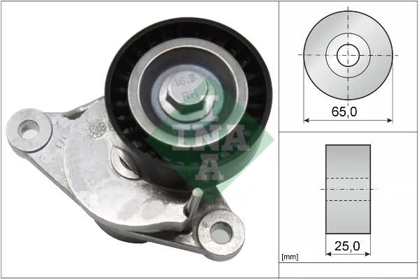 Tensor de correa poli V 534065510 INA