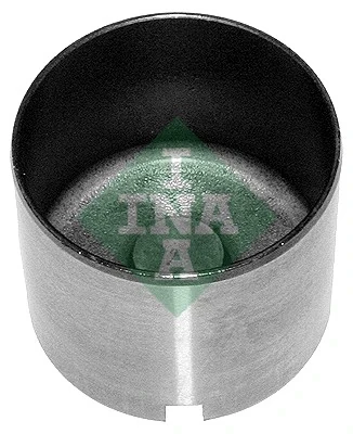 421005910 INA