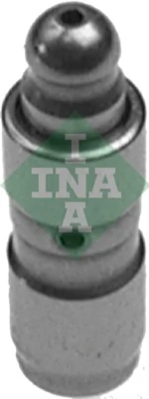 420009910 INA