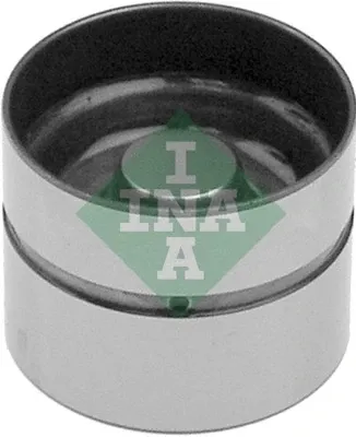 Taqués hidráulicos 420002510 INA