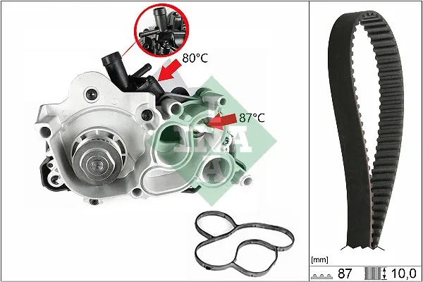 Kit de distribución 530076130 INA