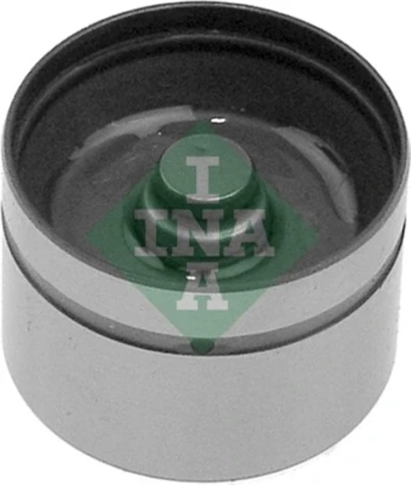 420004210 INA