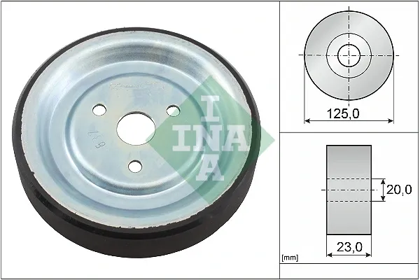 Polea de bomba de agua 532091210 INA
