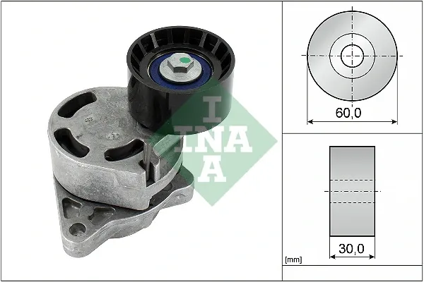 Tensor de correa poli V 534018110 INA
