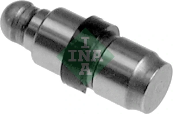 420018210 INA