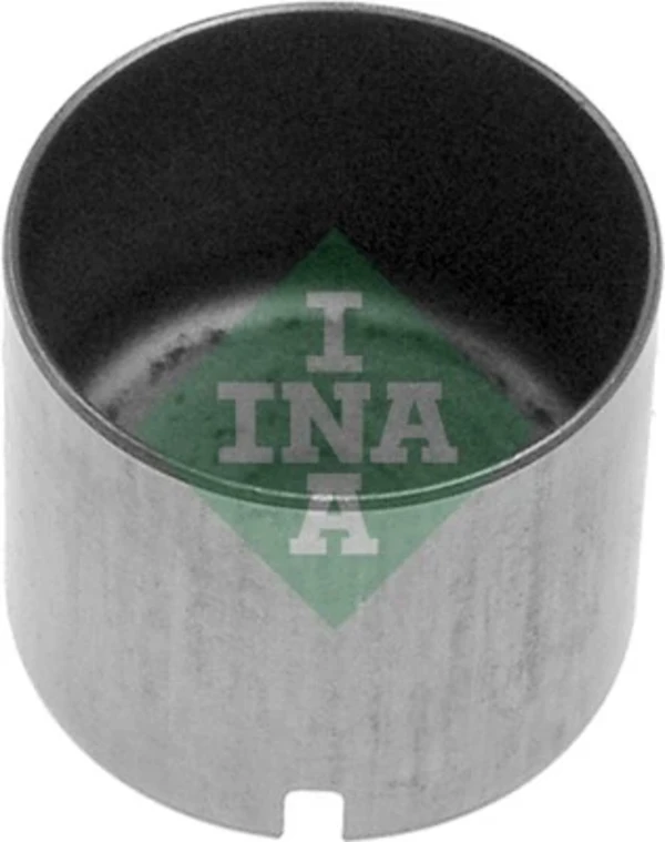 421001210 INA