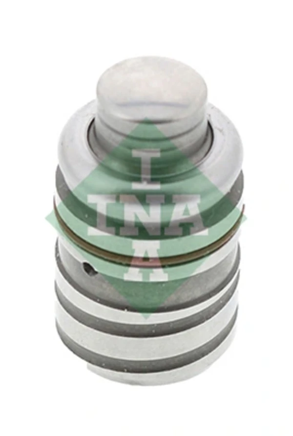420020110 INA
