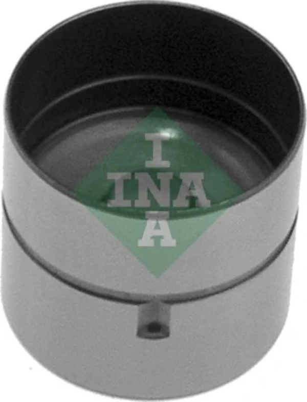 420000110 INA