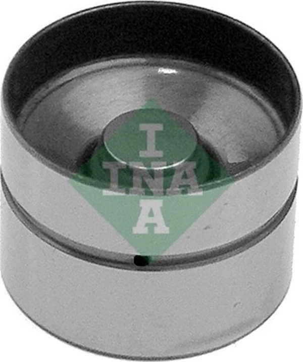 420002210 INA