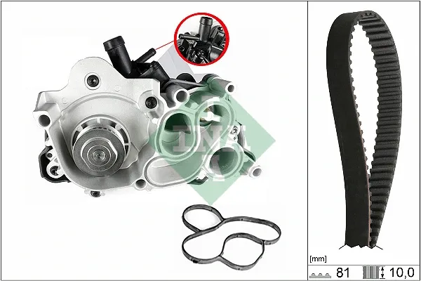 Kit de distribución 530074330 INA