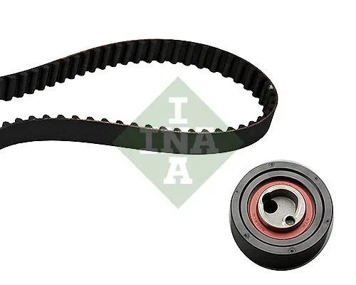 Kit de distribución 530032010 INA
