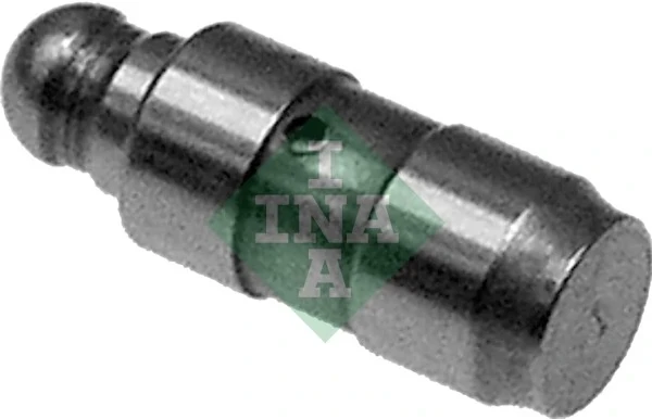 420018110 INA