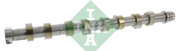 428011810 INA