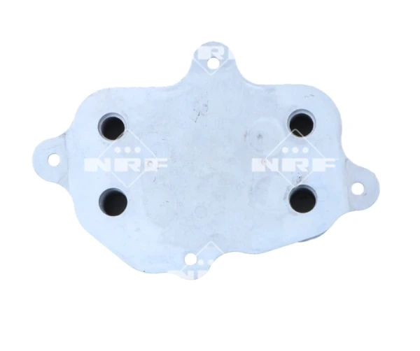 Radiador de aceite SsangYong Kyron 2 
