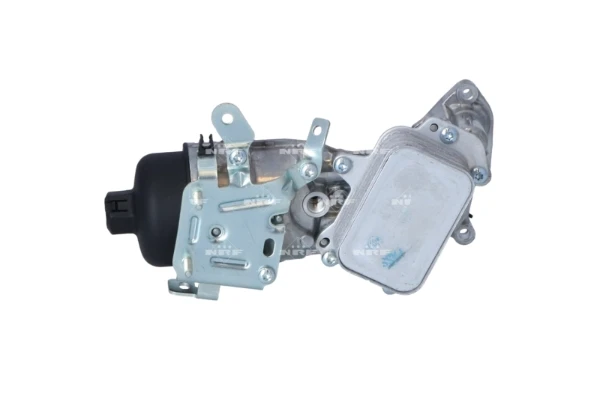 Caja, filtro de aceite Opel CROSSLAND 10 (P17)