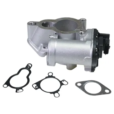 Válvula EGR 90021 Birth