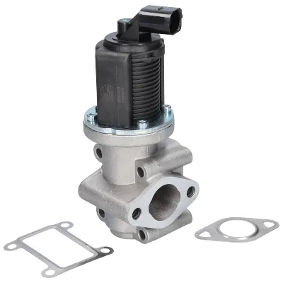 Válvula EGR 90039 Birth