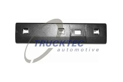 Moldura de puerta trasera izquierda TRUCKTEC 0253162
