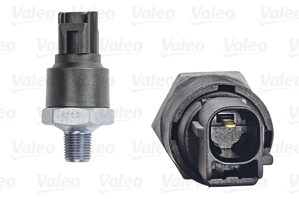 255100 VALEO