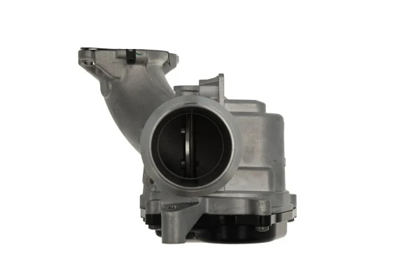Cuerpo de mariposa completo Renault Megane 3 (BZ0)