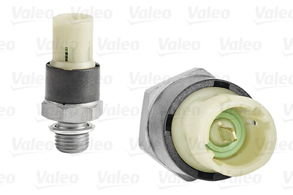 255106 VALEO