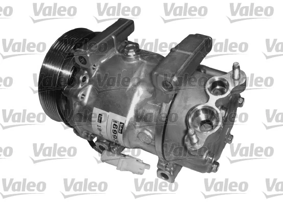 VALEO 696344 Koelventilator FORD FIESTA, B-MAX Met