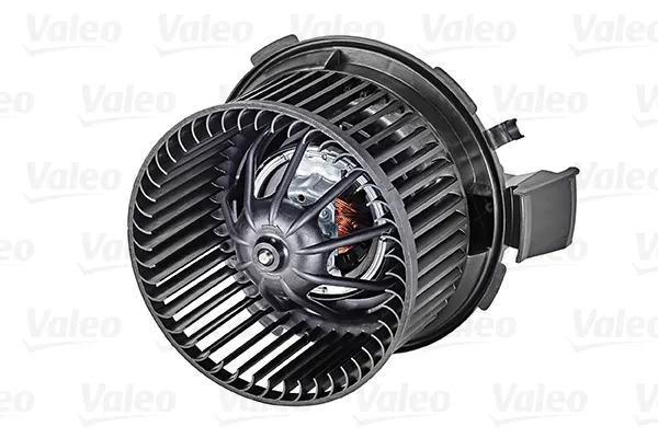 Ventilador interior   