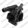 Caja del termostato WF0068 Vernet
