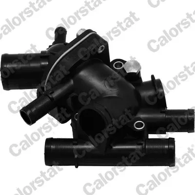 Caja de termostato TH632089J Vernet