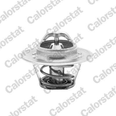 Termostato TH596282J Vernet