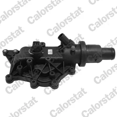 Caja de termostato TH697189J Vernet