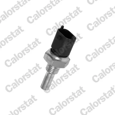 Sensor temperatura Vernet WS2697