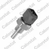 Sensor de temperatura WS2589 Vernet