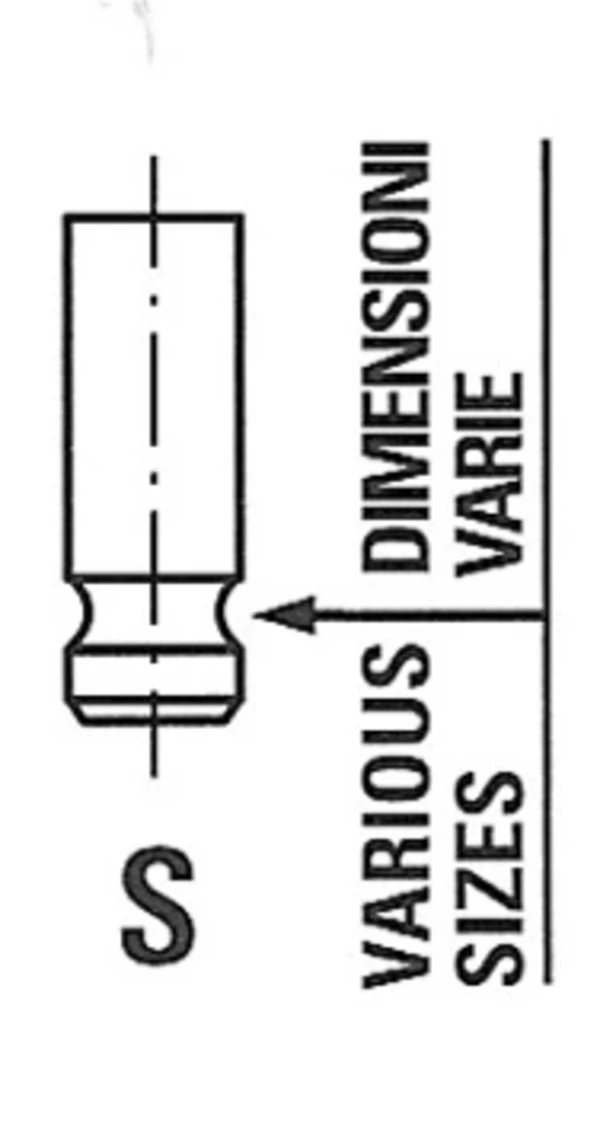 Válvula de admisión Mercedes G (W463)