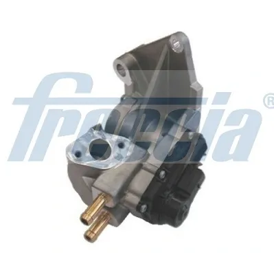 Válvula EGR EGR12195 Freccia
