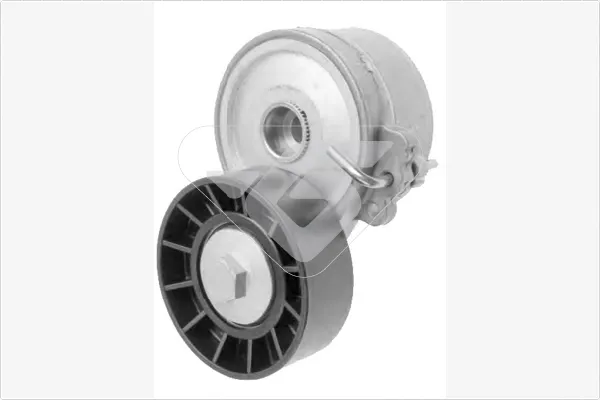 Tensor de correa poli V T0218 Hutchinson