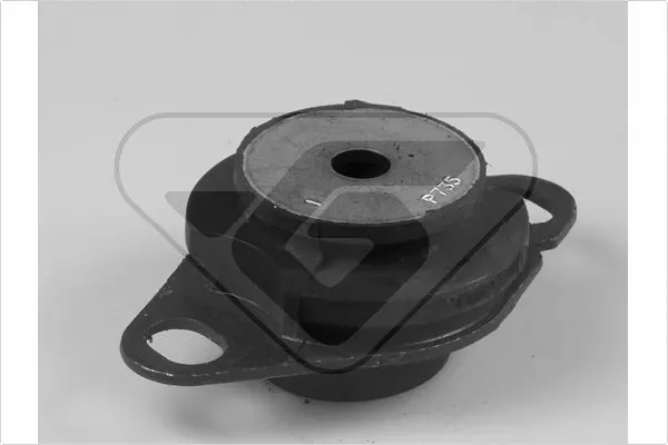 Soporte izquierdo del motor 538697 Hutchinson