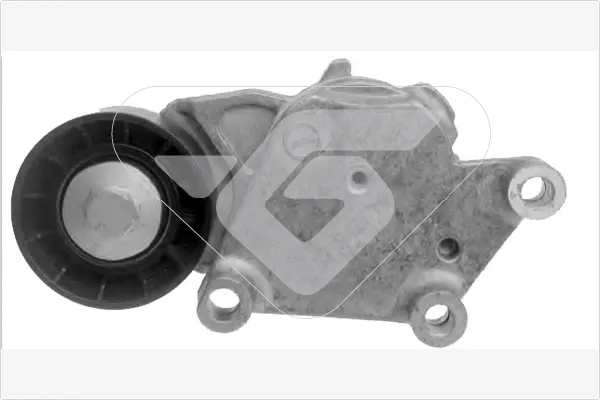 Tensor de correa poli V T0221 Hutchinson