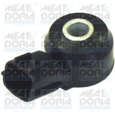 Sensor de detonaciones Nissan Terrano 2 R20