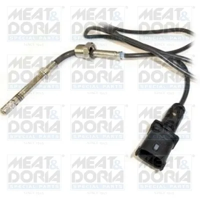 Sensor de temperatura de gases de escape después del filtro de partículas 11910 Meat&Doria