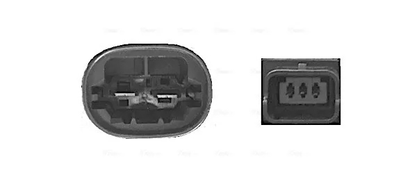 CN7556 AVA