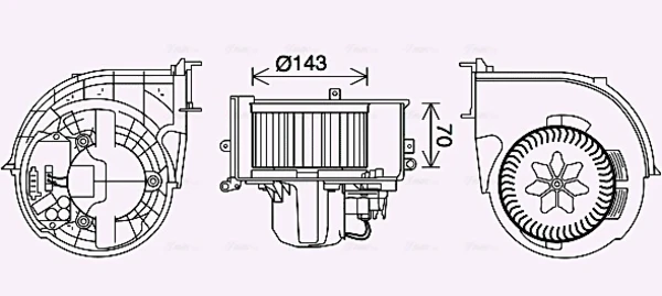BW8574 AVA