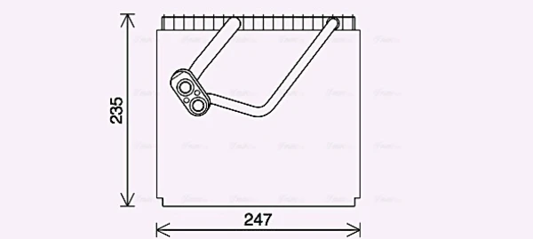 HYV466 AVA