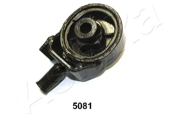 Soporte de la caja de transferencia GOM5081 Ashika