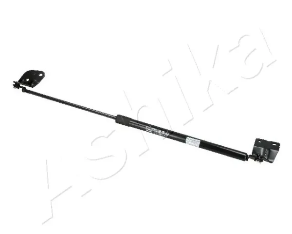 ZSA80001 Ashika