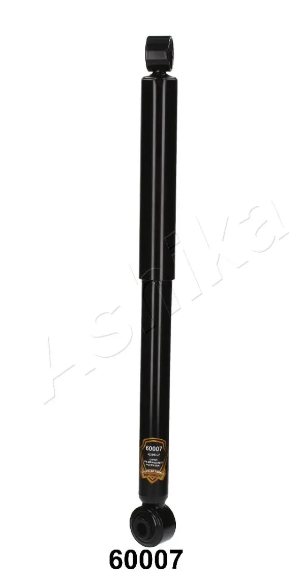 MA60007 Ashika