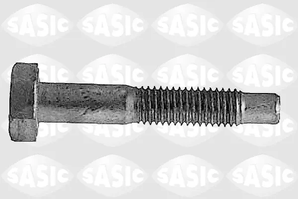 Tornillo de fijación de la rótula de suspensión delantera al muñón 5223433 Sasic