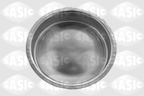 Tapa de buje de llanta Citroen C2 (JM)