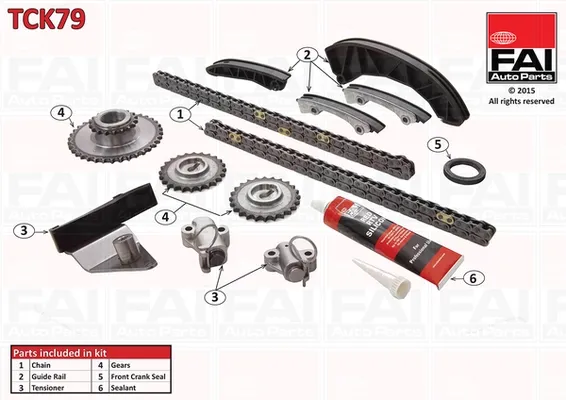 Kit de cadena de distribución TCK79 FAI